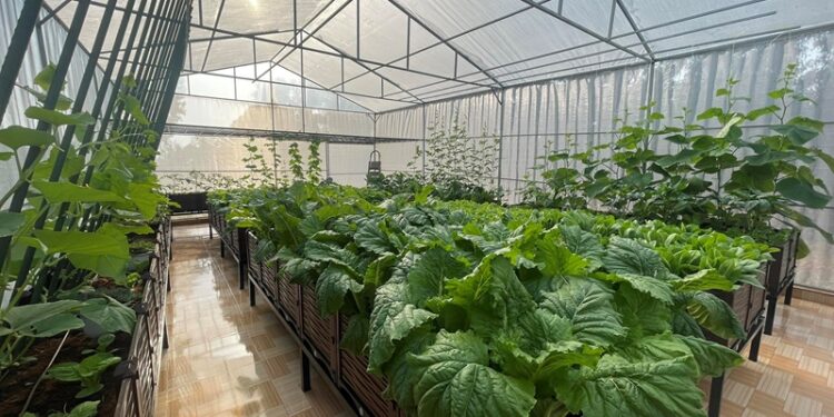 Cơ hội và thách thức trong chuyển đổi, xây dựng hệ sinh thái chuyển đổi xanh