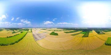 ĐBSCL: Mở đường cho ‘lúa’ và nông nghiệp là vai trò “bệ đỡ” của nền kinh tế