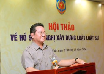 Ông Hồ Minh Sơn: Phân tích yếu tố pháp lý liên quan vụ bé gái bị mẹ đánh đập giữa chợ tại Vĩnh Long
