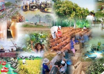 Chính sách mới có hiệu lực từ tháng 2/2025