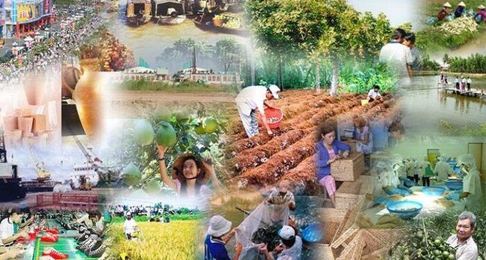 Chính sách mới có hiệu lực từ tháng 2/2025