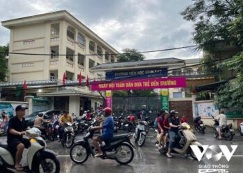 Nhờn luật vì sao?