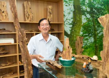 Doanh nhân Mai Quốc Thái: “Giâm cành” kỹ thuật nhân giống khó trong bảo tồn trầm hương