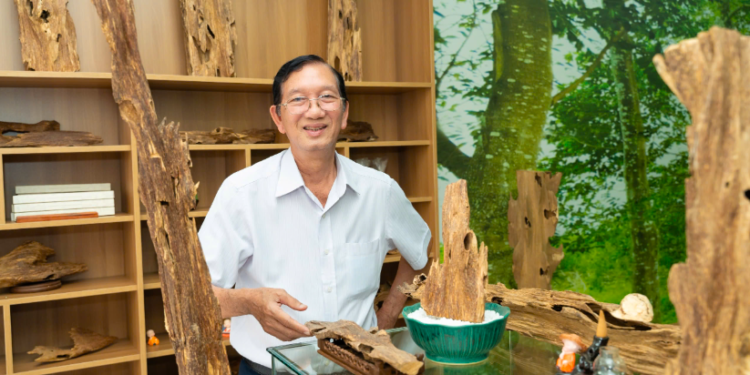 Doanh nhân Mai Quốc Thái: “Giâm cành” kỹ thuật nhân giống khó trong bảo tồn trầm hương