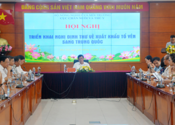 Hiệp hội VFAEA tham dự Hội nghị triển khai Nghị định thư về xuất khẩu tổ yến sang Trung Quốc