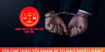 Bước tiến quan trọng về chính sách hình sự với hình phạt ‘tù chung thân không xét giảm án’ và yếu tố pháp lý liên quan hành vi che giấu tội phạm