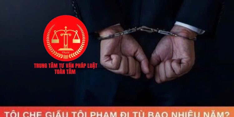 Bước tiến quan trọng về chính sách hình sự với hình phạt ‘tù chung thân không xét giảm án’ và yếu tố pháp lý liên quan hành vi che giấu tội phạm