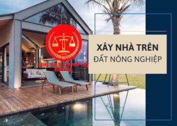 Trung tâm tư vấn pháp luật Toàn Tâm: Trước năm 1993, đất khai hoang nay bị kiện vì người khác có sổ đỏ – Năm 2025, xây nhà trên đất nông nghiệp phải tháo dỡ làm sao?