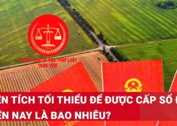 Trung tâm tư vấn pháp luật Toàn Tâm: Cây nhà hàng xóm đổ, gây thiệt hại nhà người khác có phải bồi thường – Diện tích đất tối thiểu bao nhiêu m2 thì được cấp sổ đỏ?