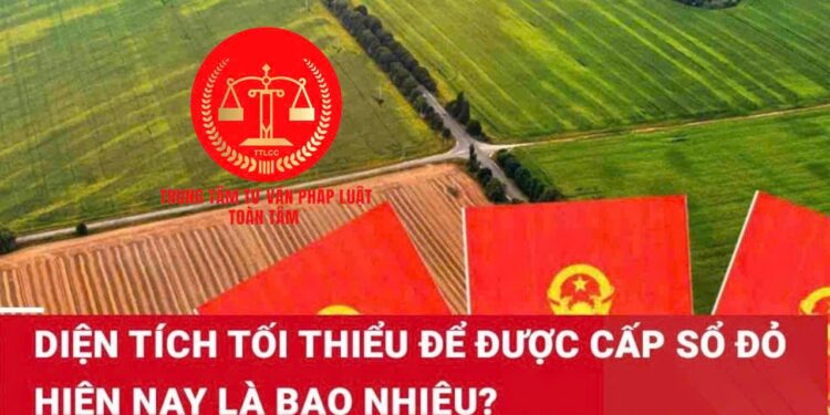 Trung tâm tư vấn pháp luật Toàn Tâm: Cây nhà hàng xóm đổ, gây thiệt hại nhà người khác có phải bồi thường – Diện tích đất tối thiểu bao nhiêu m2 thì được cấp sổ đỏ?