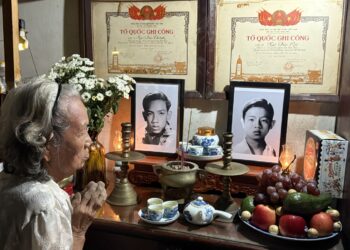 Tp. Hồ Chí Minh: Vì sao gia đình hưu trí kêu cứu cấp thiết?