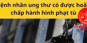 Trung tâm tư vấn pháp luật Toàn Tâm: Phạt tù từ 7 đến 15 năm thuộc trường hợp nào, về tội mua bán trái phép chất ma túy – Tử tù mắc ung thư giai đoạn cuối, có được miễn thi hành án?