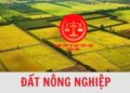 Trung tâm tư vấn pháp luật Toàn Tâm: Đất nông nghiệp hết hạn có bị Nhà nước thu hồi – Miễn xác nhận ‘không tranh chấp’ khi làm sổ đỏ?