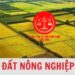 Trung tâm tư vấn pháp luật Toàn Tâm: Đất nông nghiệp hết hạn có bị Nhà nước thu hồi – Miễn xác nhận ‘không tranh chấp’ khi làm sổ đỏ?