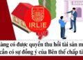 Viện Nghiên cứu Chính sách pháp luật&Kinh tế hội nhập: Phát sinh nợ xấu, dù trả nợ đầy đủ vẫn bị từ chối cho vay – Khi quyền thu giữ tài sản đảm bảo về tay, ngân hàng lợi gì?