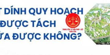 Trung tâm tư vấn pháp luật Toàn Tâm: Lỡ mua đất chung, muốn bán nhưng không chịu – Đất dính quy hoạch có được tách thửa hay không?
