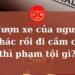 Trung tâm tư vấn pháp luật Toàn Tâm: Bạn mượn xe rồi mang đi cầm cố, chủ xe có thể làm gì – Sử dụng điện thoại khi dừng đèn đỏ, có bị phạt nguội?