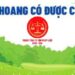 Trung tâm tư vấn pháp luật Toàn Tâm: Đất khai hoang có được làm thủ tục chuyển thành đất ở – Pháp luật bảo vệ quyền lợi của người dân ra sao, khi đất bị sạt lở?