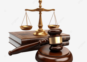 Tình huống pháp lý liên quan kẻ đẩy CSGT vào xe tải và vụ thảm sát ở Đồng Nai