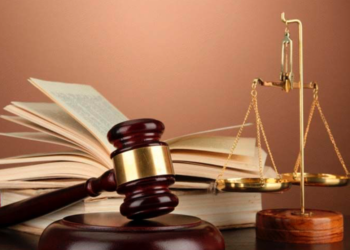 Tình huống pháp lý liên quan Long Phụng Khang và các đối tượng nhập lậu hàng nghìn tấn thịt động vật từ Châu Âu