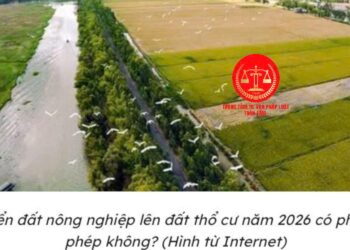 Trung tâm tư vấn pháp luật Toàn Tâm tuyên truyền về Nghị định số 151/2025/NĐ-CP và Luật Đất đai 2024 cho CLB DN IMRIC – IRLIE và người dân