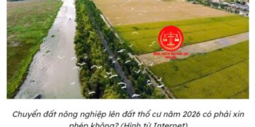 Trung tâm tư vấn pháp luật Toàn Tâm tuyên truyền về Nghị định số 151/2025/NĐ-CP và Luật Đất đai 2024 cho CLB DN IMRIC – IRLIE và người dân