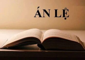 TAND Tối cao công bố 10 án lệ mới