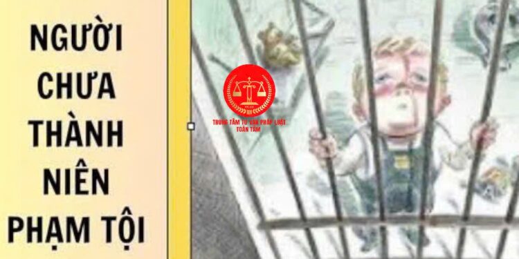 Trung tâm tư vấn pháp luật Toàn Tâm tuyên truyền, phổ biến Bộ luật Tố tụng dân sự số 99/VBHN-VPQH và Luật Tư pháp người chưa thành niên