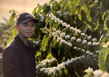 BM Farm và BM Group: Hành trình xây dựng mô hình nông nghiệp bền vững từ tầm nhìn của CEO Hồ Quốc Huy