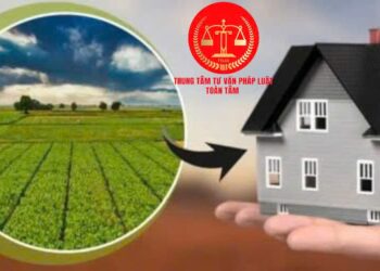 Trung tâm tư vấn pháp luật Toàn Tâm tuyên truyền về Nghị định số 103/2024/NĐ-CP và Luật Hôn nhân và Gia đình năm 2014 cho CLB DN IMRIC – IRLIE và người dân