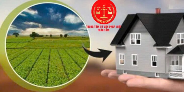 Trung tâm tư vấn pháp luật Toàn Tâm tuyên truyền về Nghị định số 103/2024/NĐ-CP và Luật Hôn nhân và Gia đình năm 2014 cho CLB DN IMRIC – IRLIE và người dân