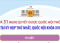 Thông tin về 9 luật và 31 nghị quyết được Quốc hội thông qua tại Kỳ họp thứ nhất, Quốc hội khóa XVI