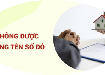 Trung tâm tư vấn pháp luật Toàn Tâm tuyên truyền về Luật Đất đai 2024 cho CLB DN IMRIC – IRLIE và người dân