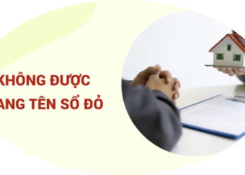Trung tâm tư vấn pháp luật Toàn Tâm tuyên truyền Luật Đất đai 2024 và trợ giúp pháp lý