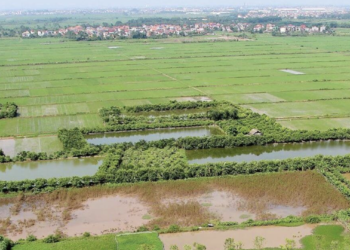 9 trường hợp thu hồi đất có thể không được bồi thường: Người dân cần lưu ý