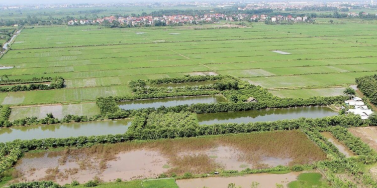 9 trường hợp thu hồi đất có thể không được bồi thường: Người dân cần lưu ý