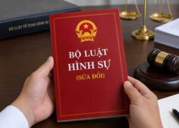 Dự án Bộ luật Hình sự (sửa đổi): Hoàn thiện cơ sở pháp lý phòng, chống tội phạm