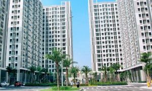 Dự thảo Luật Nhà ở: Bổ sung chương riêng về nhà cho thuê